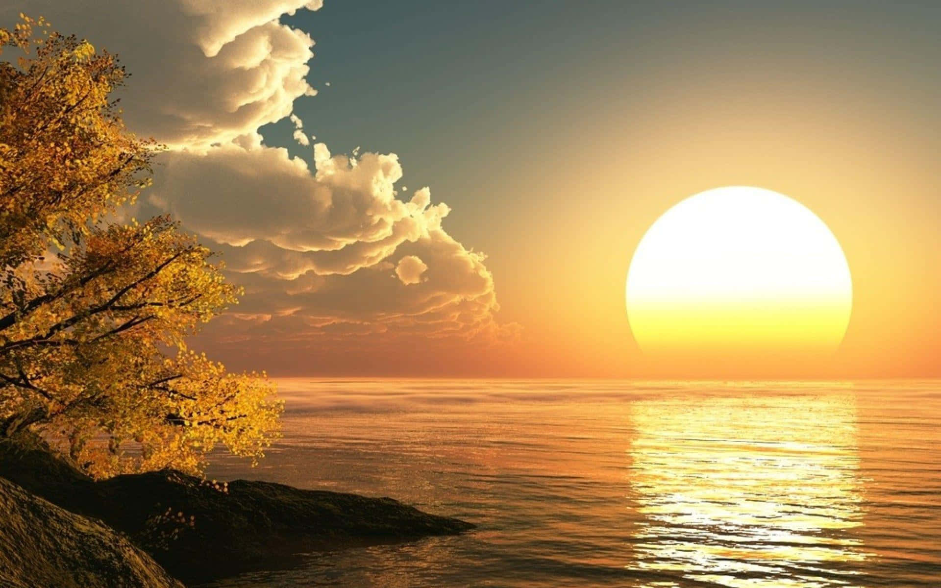 sunset, ocean, tree, Full HD Desktop Wallpaper