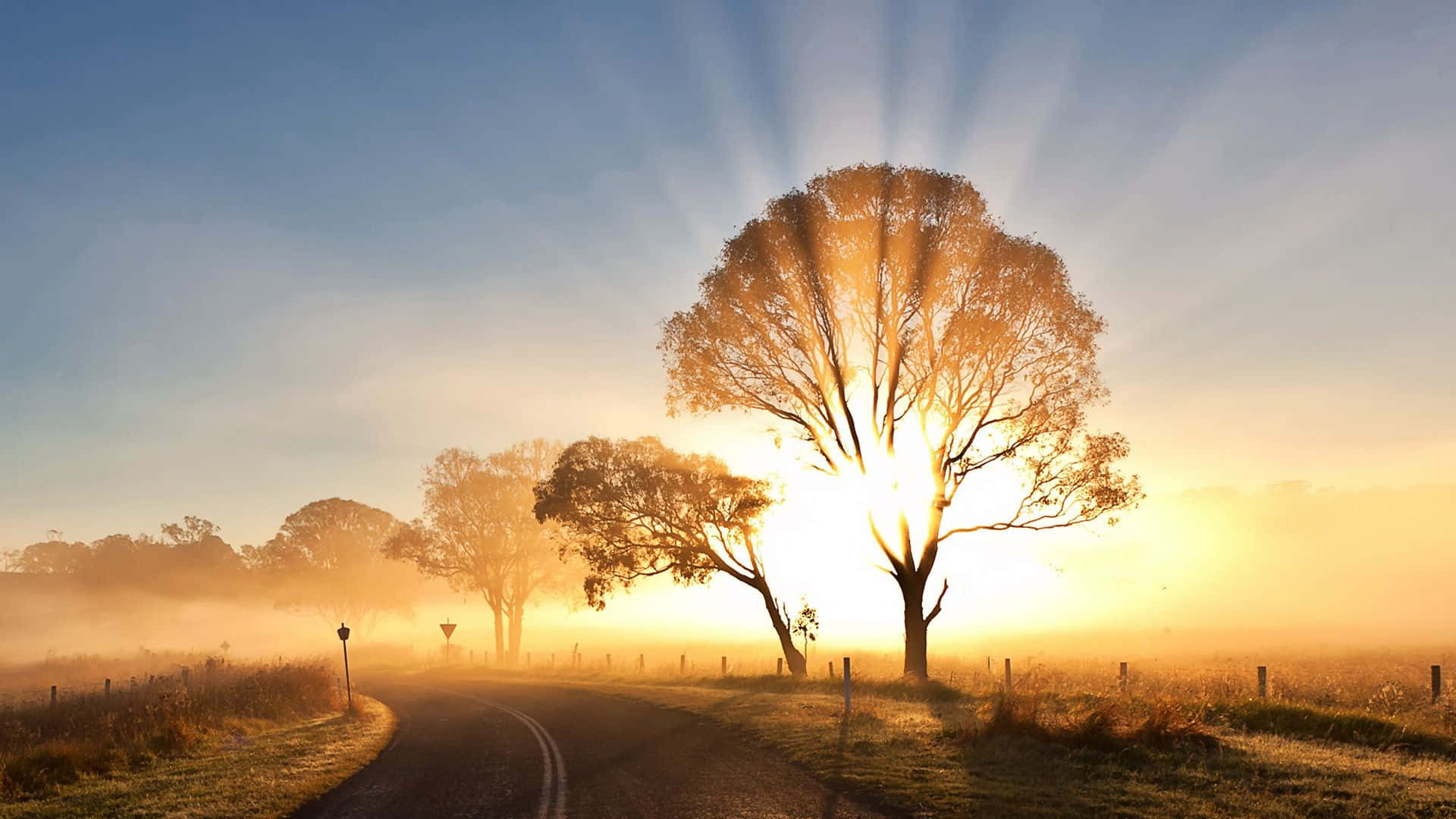 sunrise, misty dawn, golden fields, Full HD Desktop Wallpaper