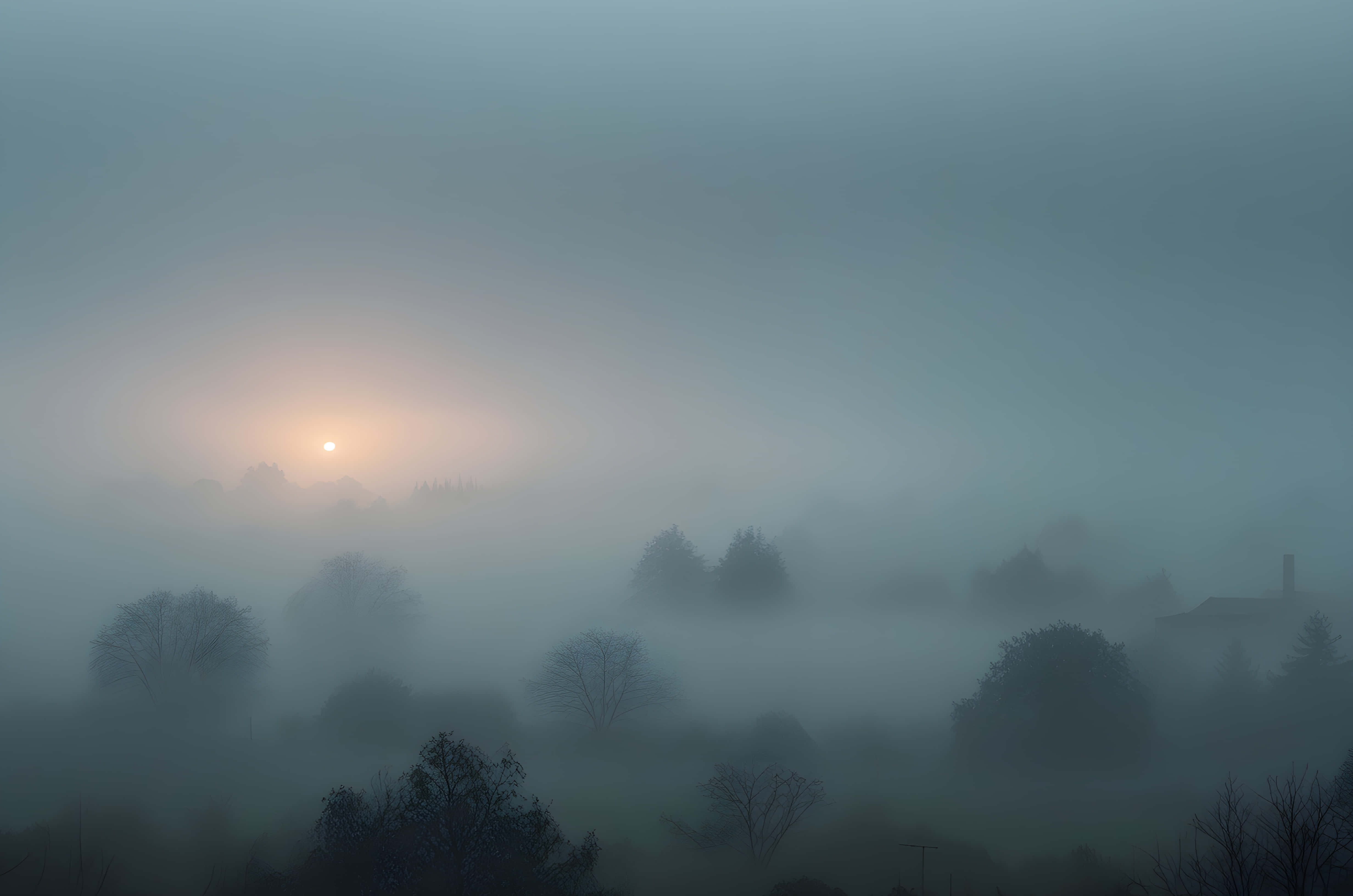 sunrise, mist, silhouetted trees, 4K Desktop Wallpaper