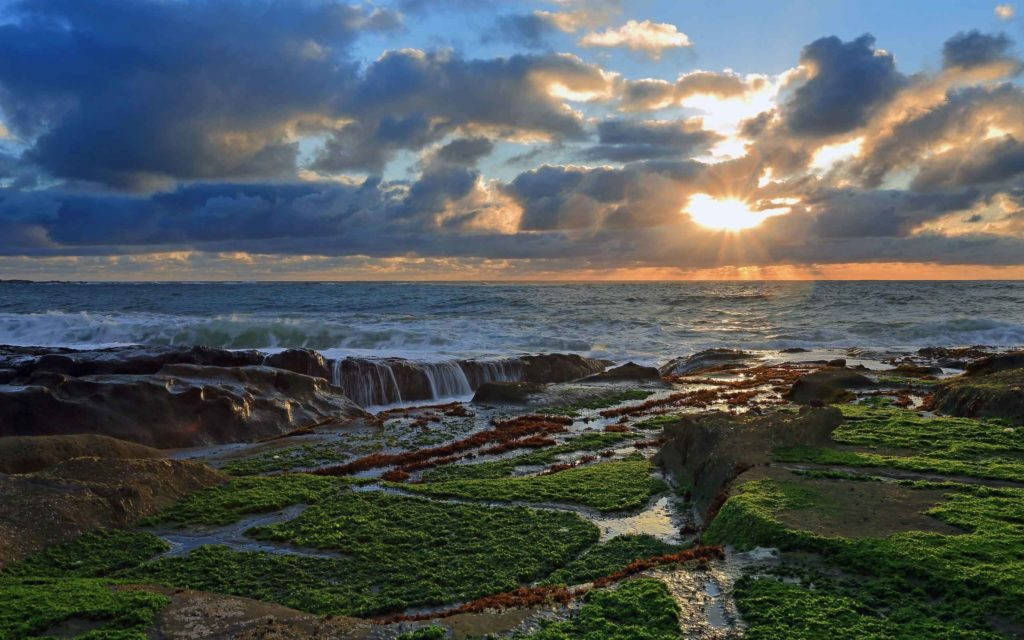 grassy coast, sunrise nature, dramatic clouds, SD Desktop Wallpaper