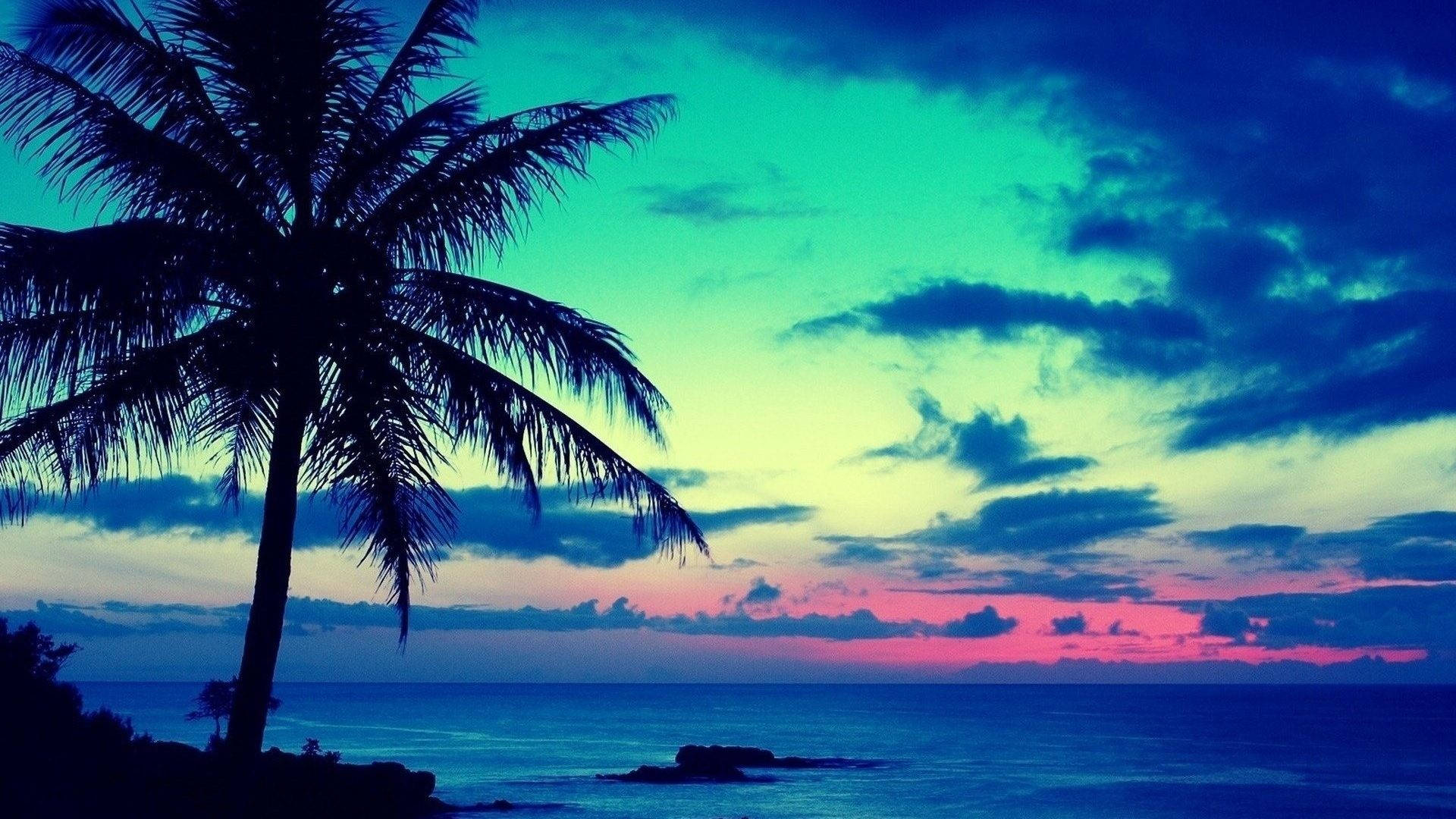 sunrise nature, beach, palm tree, Full HD Desktop Wallpaper