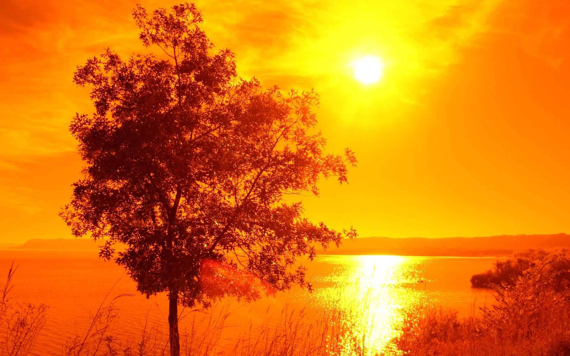 orange tinted sunrise, fiery orange sunset, calm lake, Full HD Desktop Wallpaper