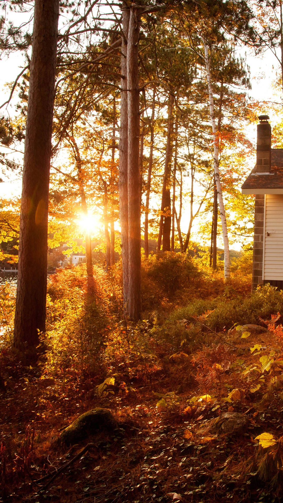 brick house, forest, autumn leaves, Full HD Phone Wallpaper