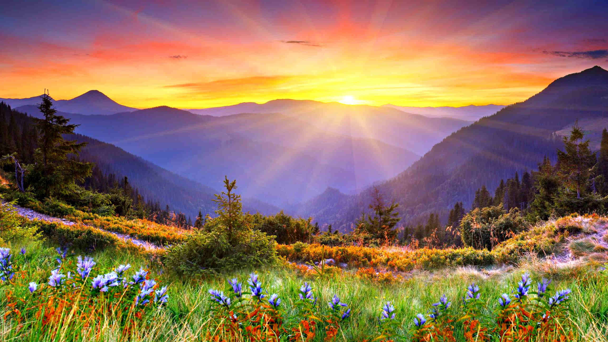 Sunrise, mountain valleys, fiery orange, 2K Desktop Wallpaper