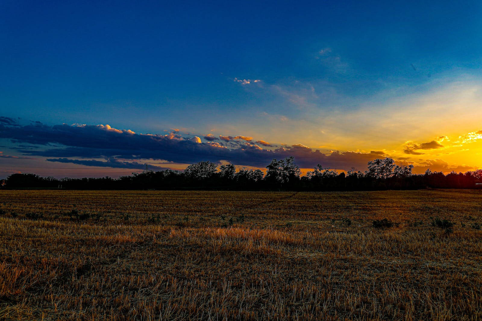 grass field, sunrise, nature, HD Desktop Wallpaper