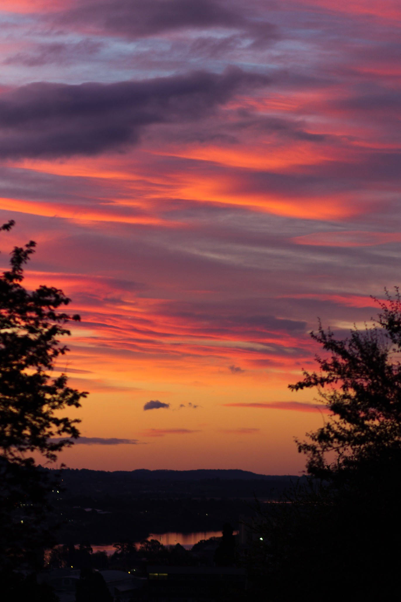 trees and mountain silhouette, sunrise nature, vibrant orange and purple clouds, Full HD Phone Wallpaper
