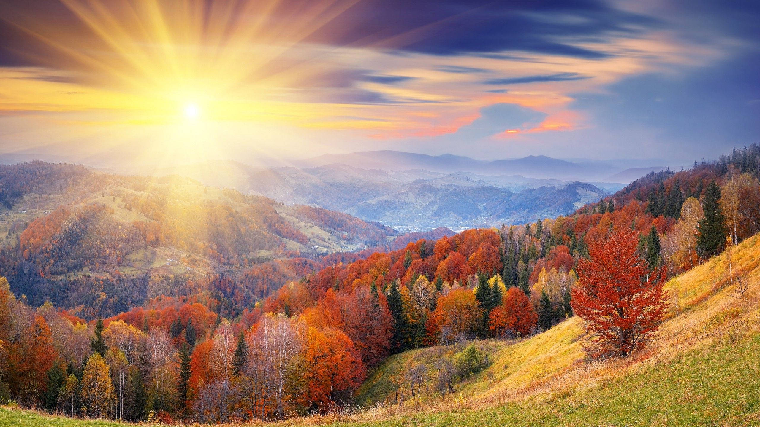 2560x1440, fall sunrise, rolling hills, 2K Desktop Wallpaper
