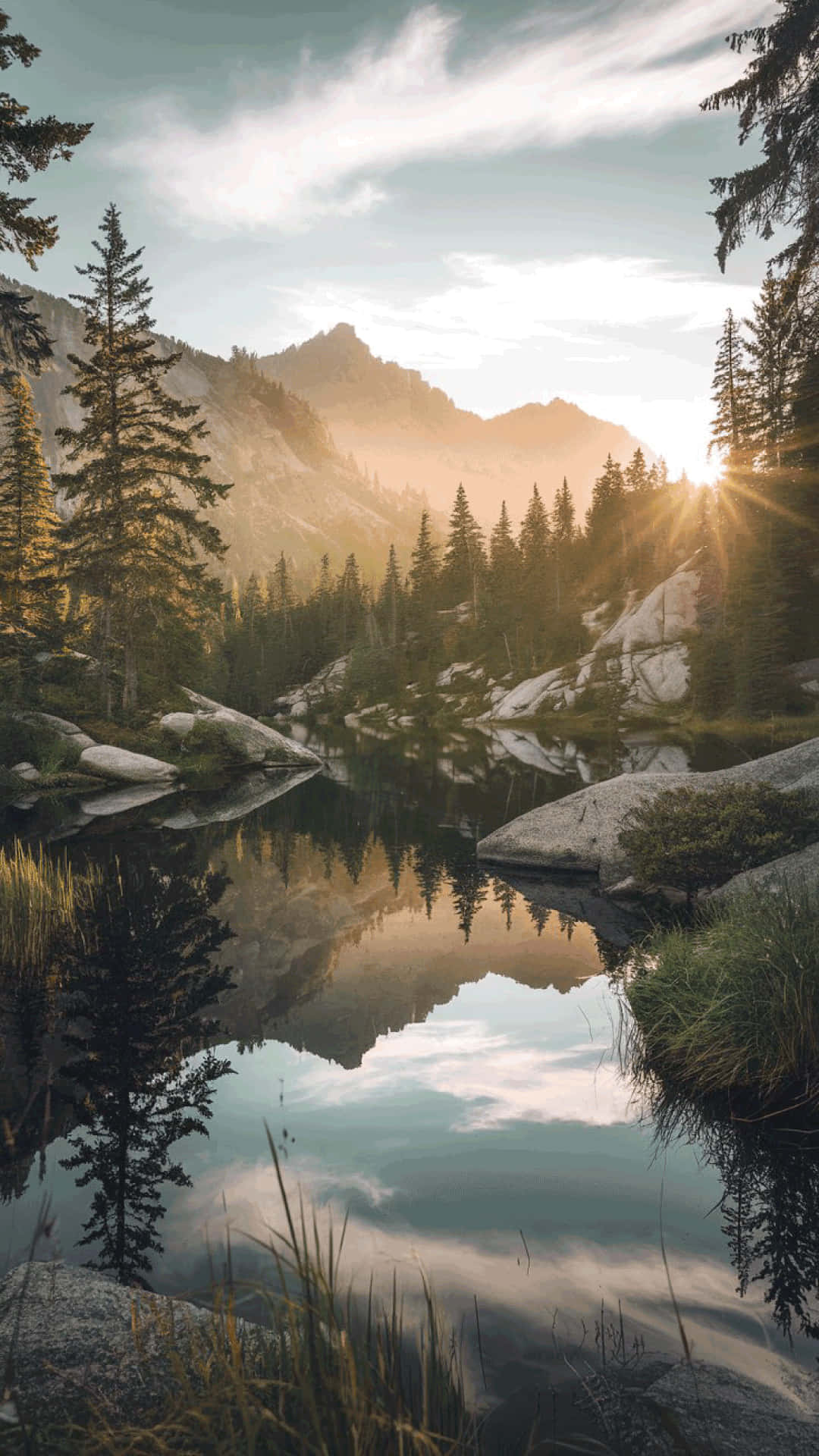 serene mountain lake, sunrise, pine trees, Full HD Phone Wallpaper