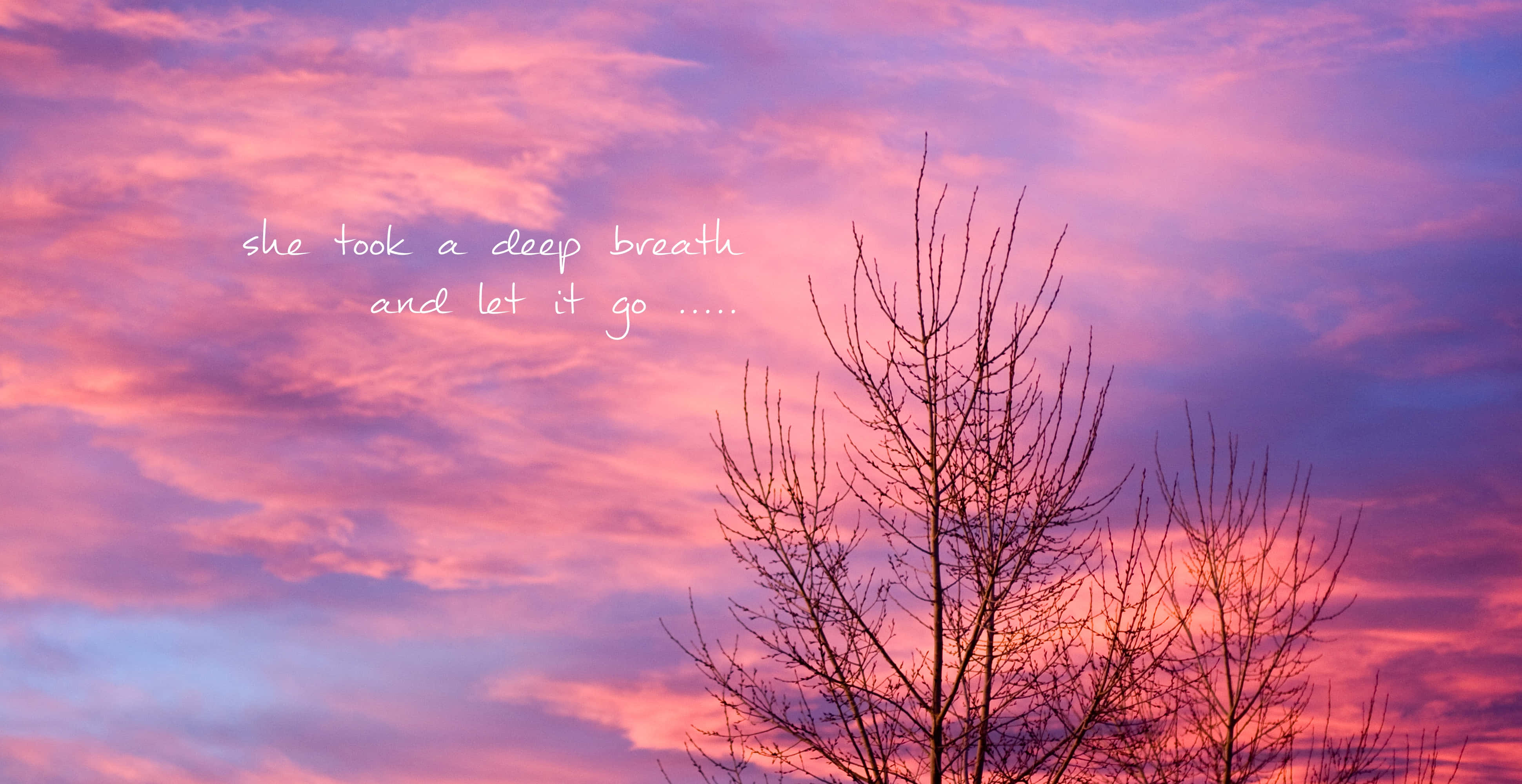 Sunset, Pink purple sunset sky, Silhouetted bare tree branches, 4K Desktop Wallpaper