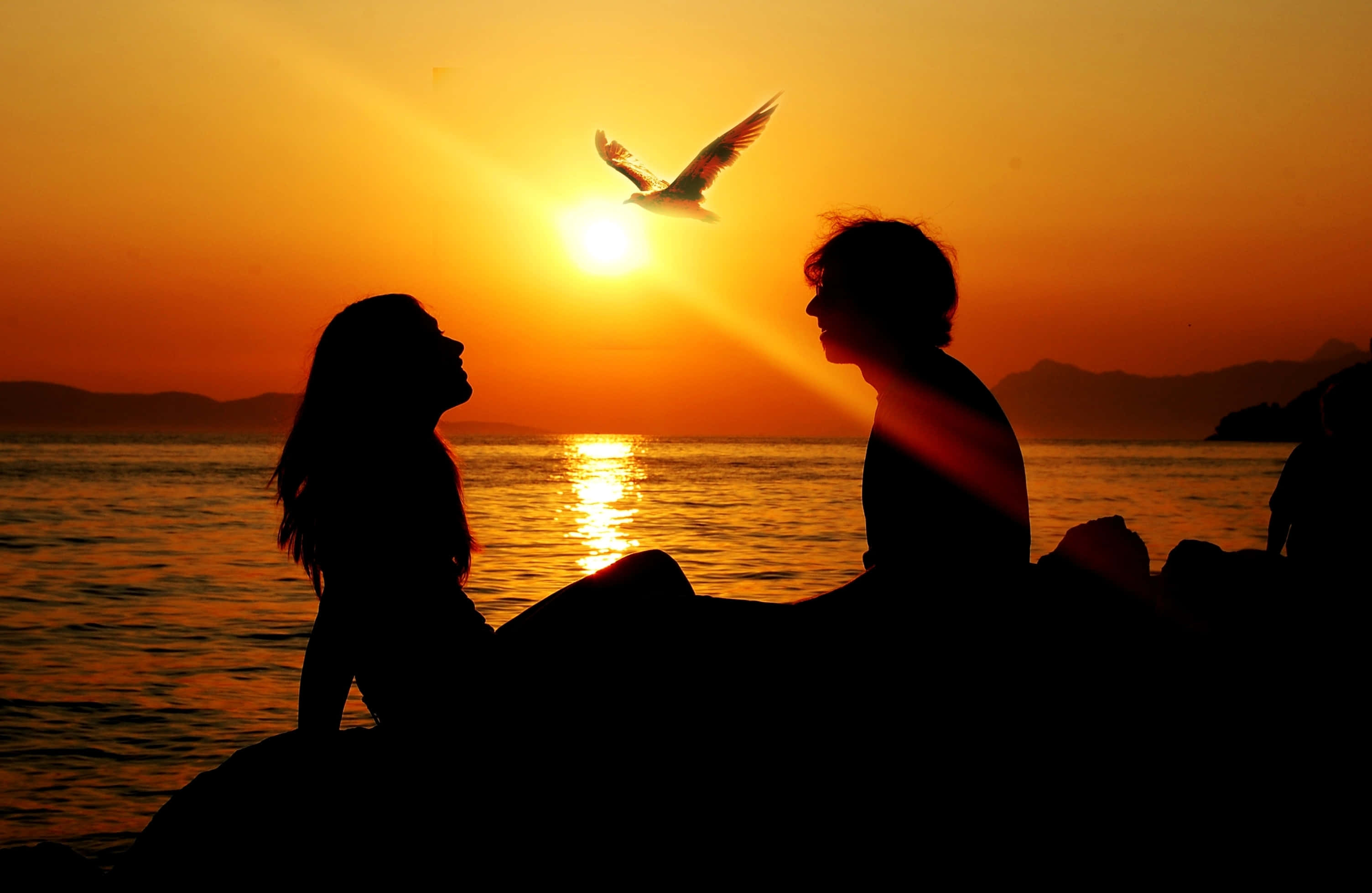 Sunset Silhouette, glowing sunset, calm water, 2K Desktop Wallpaper