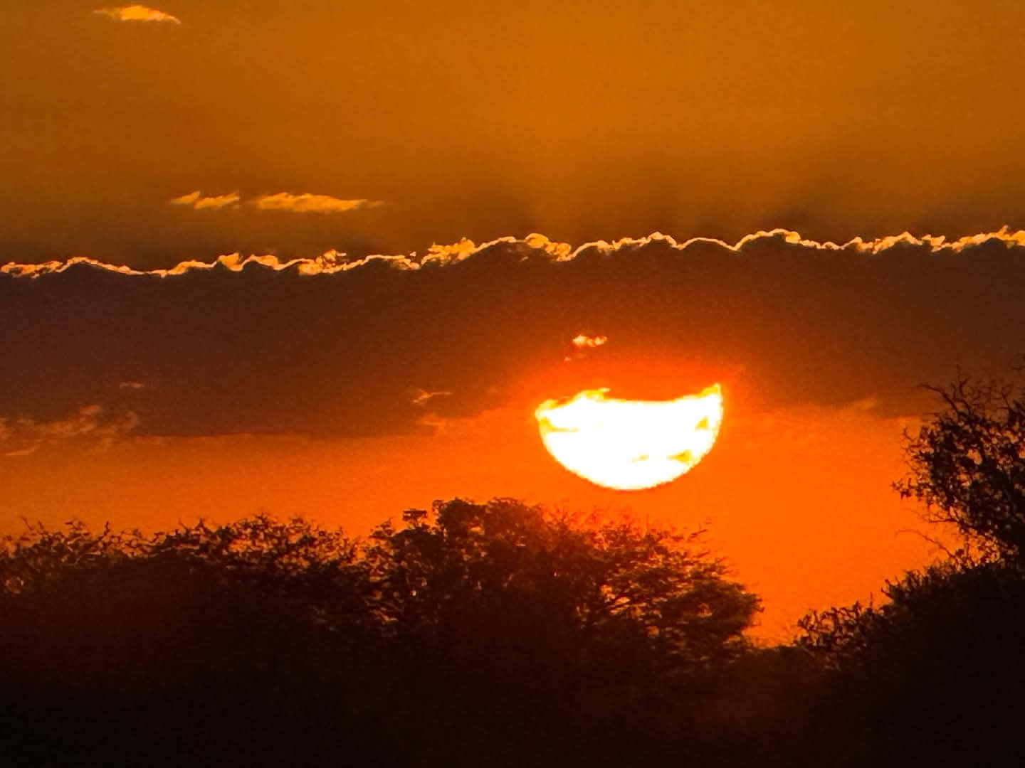 sunset, fiery orange sun, dark silhouetted trees, HD Desktop Wallpaper