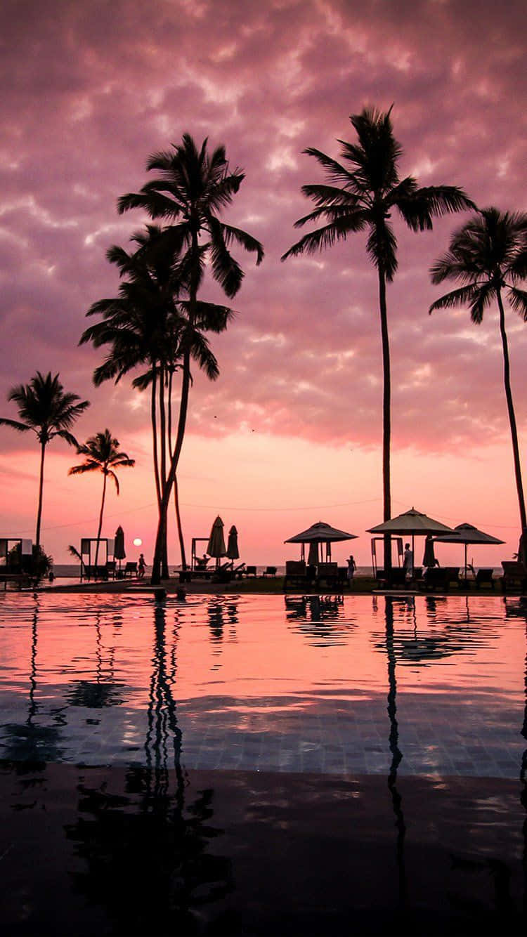 Sunset Beach iPhone, palm trees, poolside umbrellas, HD Phone Wallpaper
