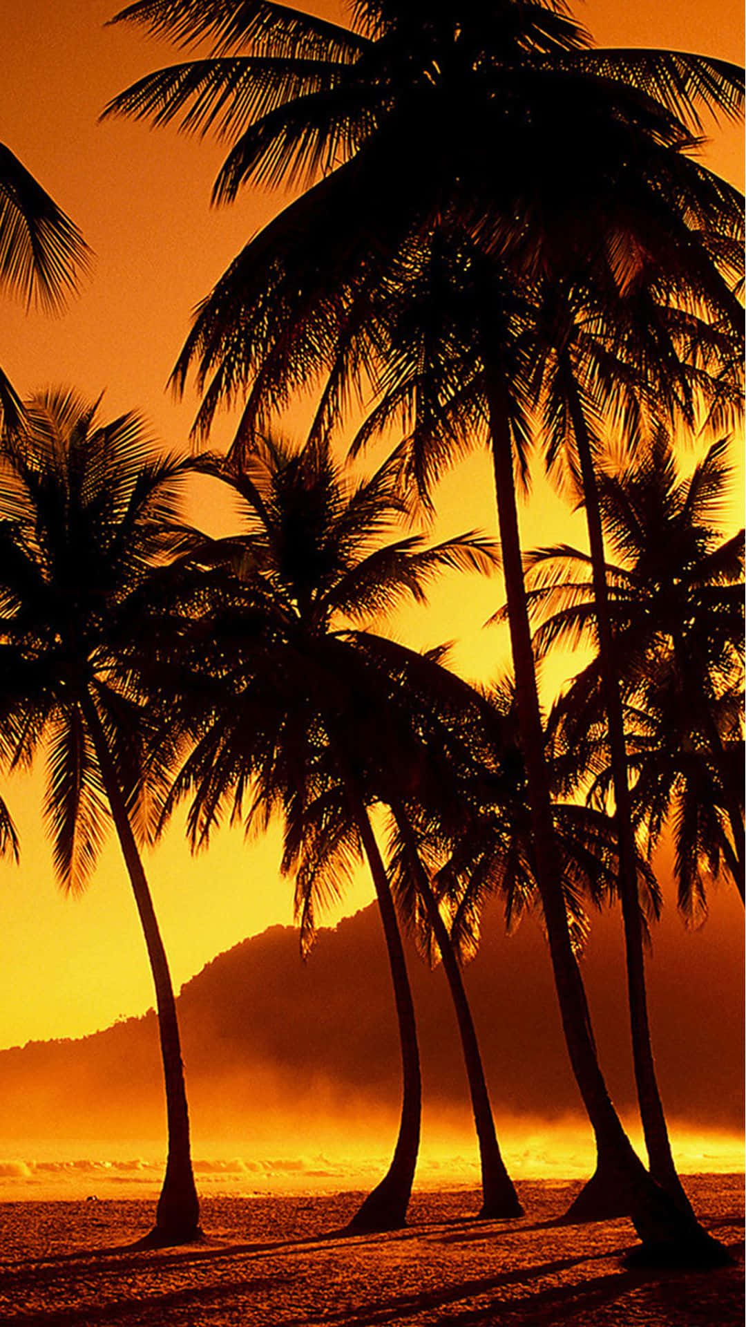 Sunset Beach iPhone, fiery orange sunset, tropical beach, Full HD Phone Wallpaper