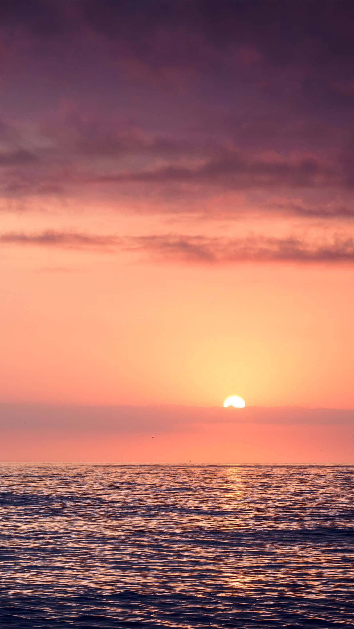Sunset Beach iPhone, sunset, calm ocean waters, Full HD Phone Wallpaper