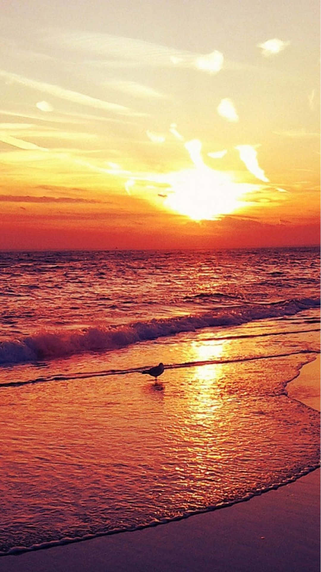 Sunset Beach iPhone, sunset, beach, Full HD Phone Wallpaper