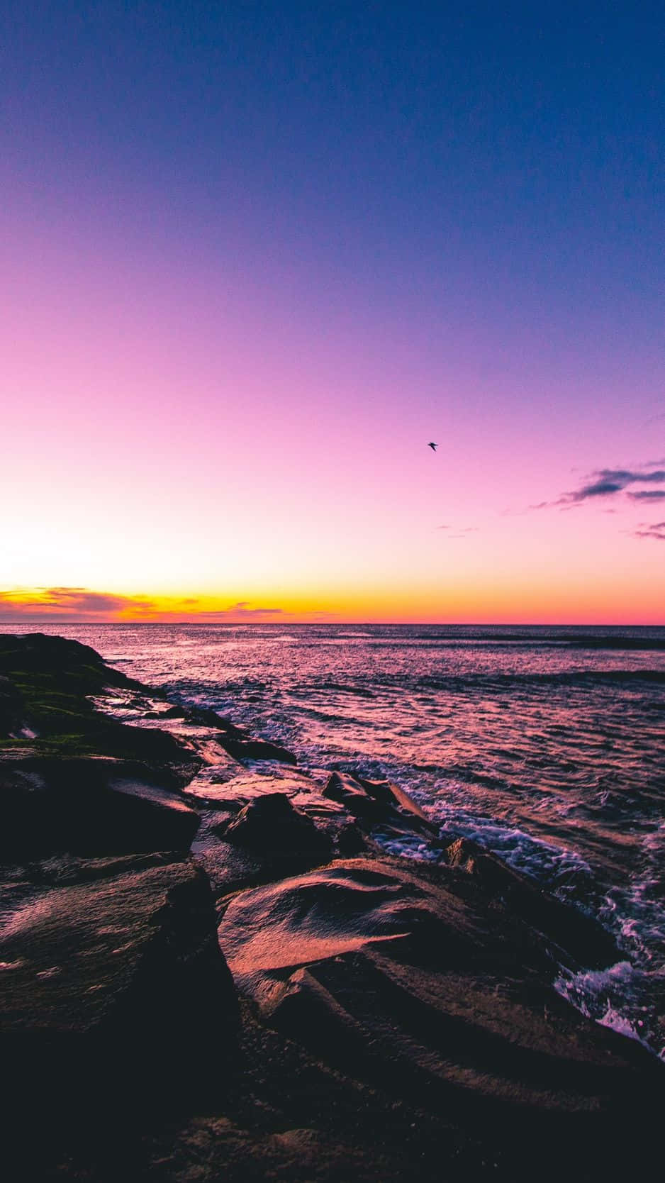 Sunset Beach iPhone, sunset, beach, HD Phone Wallpaper