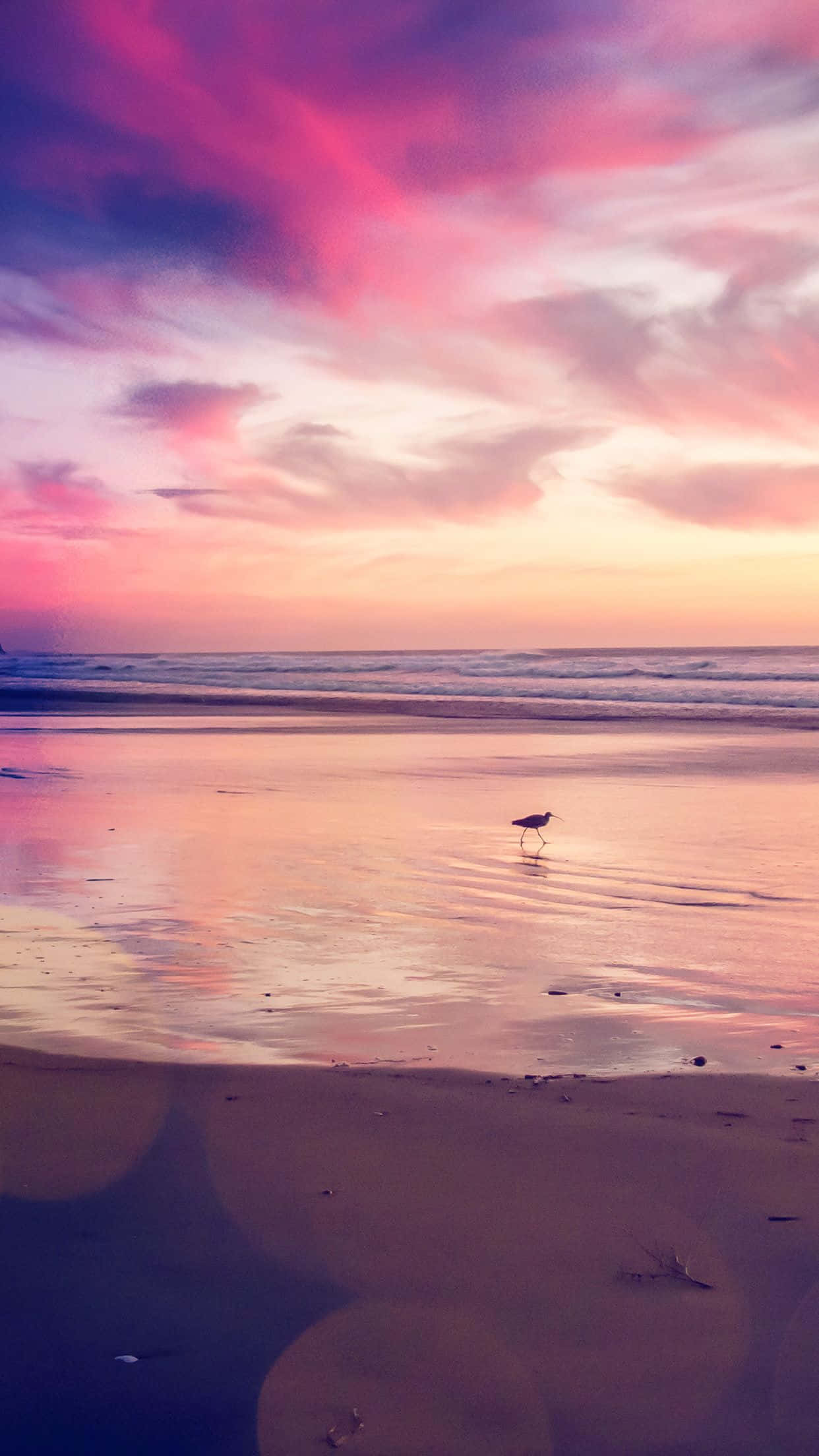 Sunset Beach iPhone, vibrant pink and purple sunset sky, wet beach, Full HD Phone Wallpaper