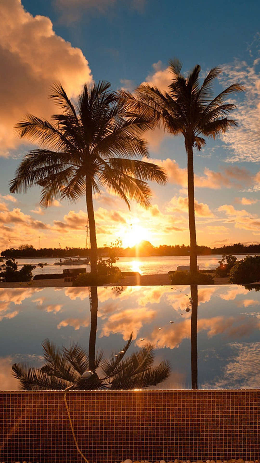 Sunset Beach iPhone, palm trees, vibrant sunset, Full HD Phone Wallpaper