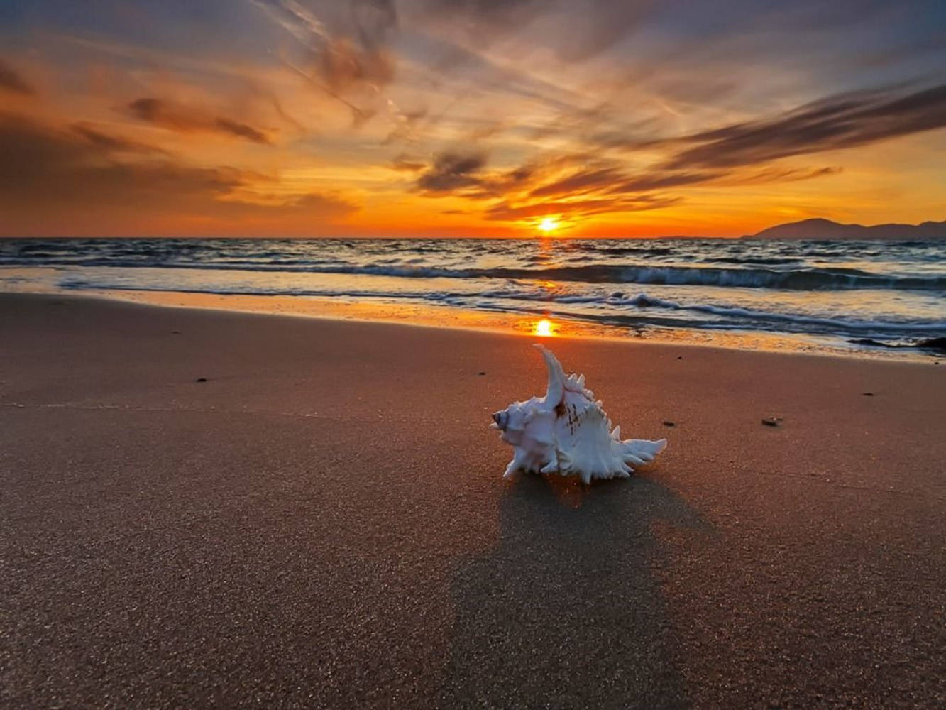sunset, tranquil beach, golden sunset light, HD Desktop Wallpaper