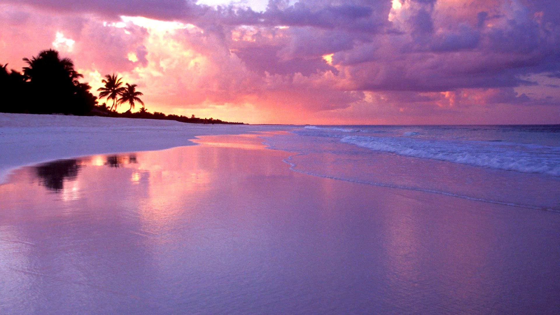 sunset, beach, pink and purple clouds, Full HD Desktop Wallpaper