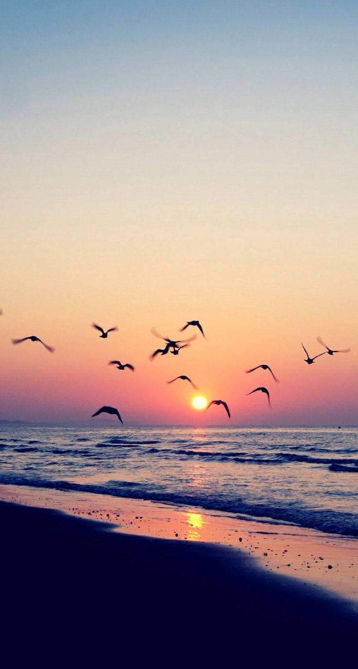 Sunset, Ocean, Beach, HD Phone Wallpaper