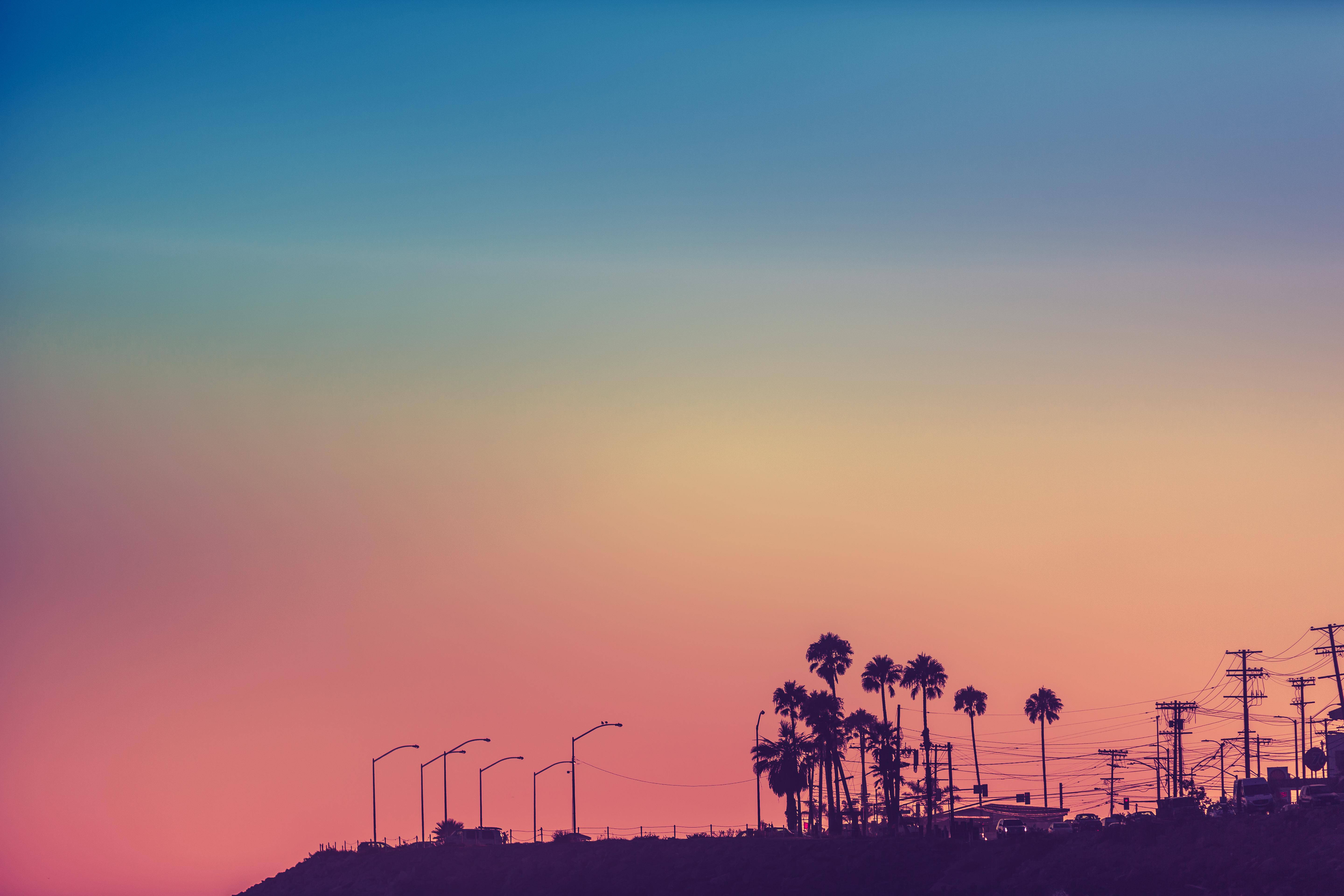 Sunset Boulevard, rainbow sky, palm trees, 5K Desktop Wallpaper
