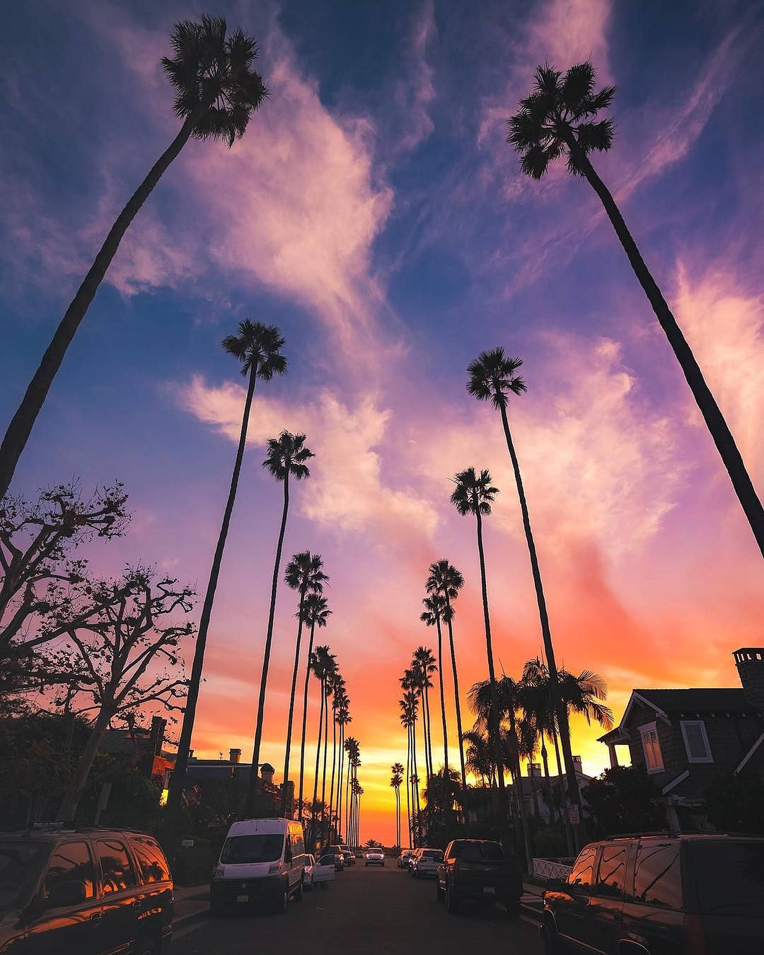 Sunset Boulevard, vibrant purple orange sunset, tall palm trees, Full HD Phone Wallpaper