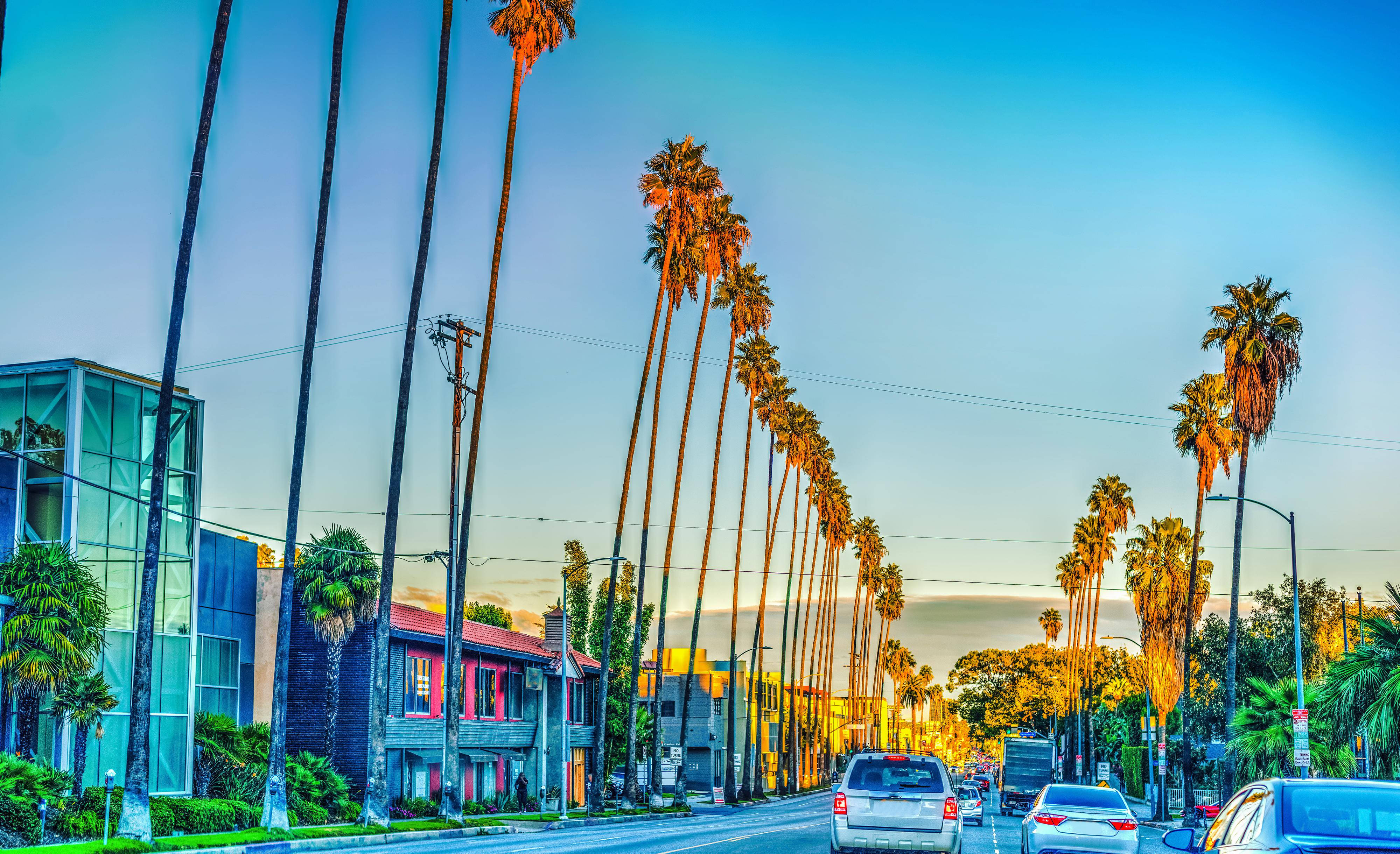 Sunset Boulevard, palm trees, urban street, 4K Desktop Wallpaper