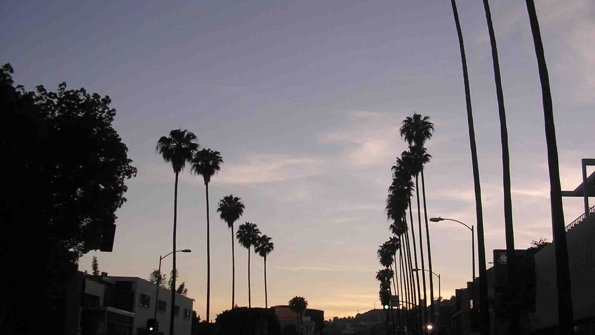 Sunset Boulevard, palm trees, city street, Full HD Desktop Wallpaper