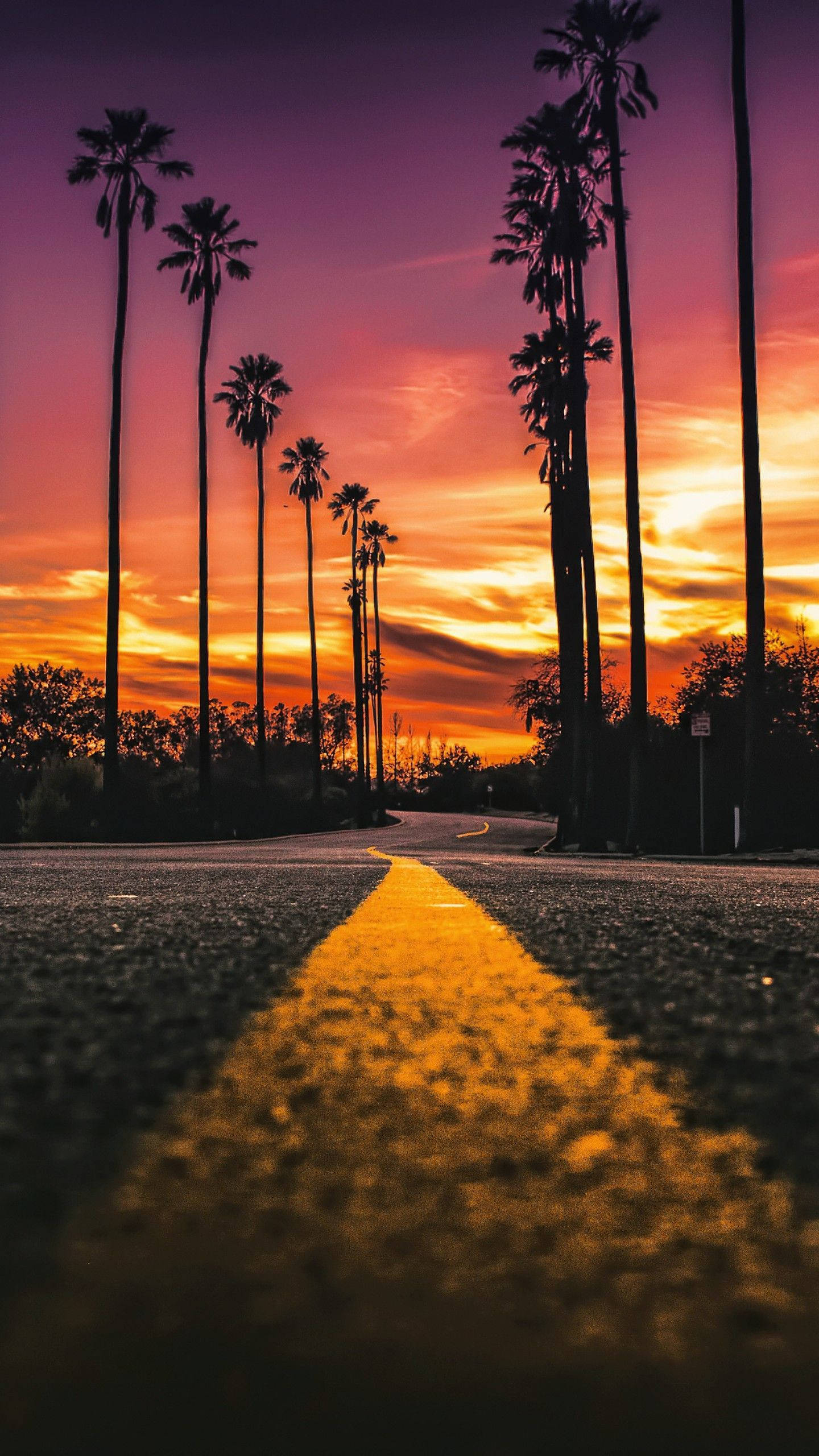 Sunset Boulevard, sunset, palm trees, 2K Phone Wallpaper