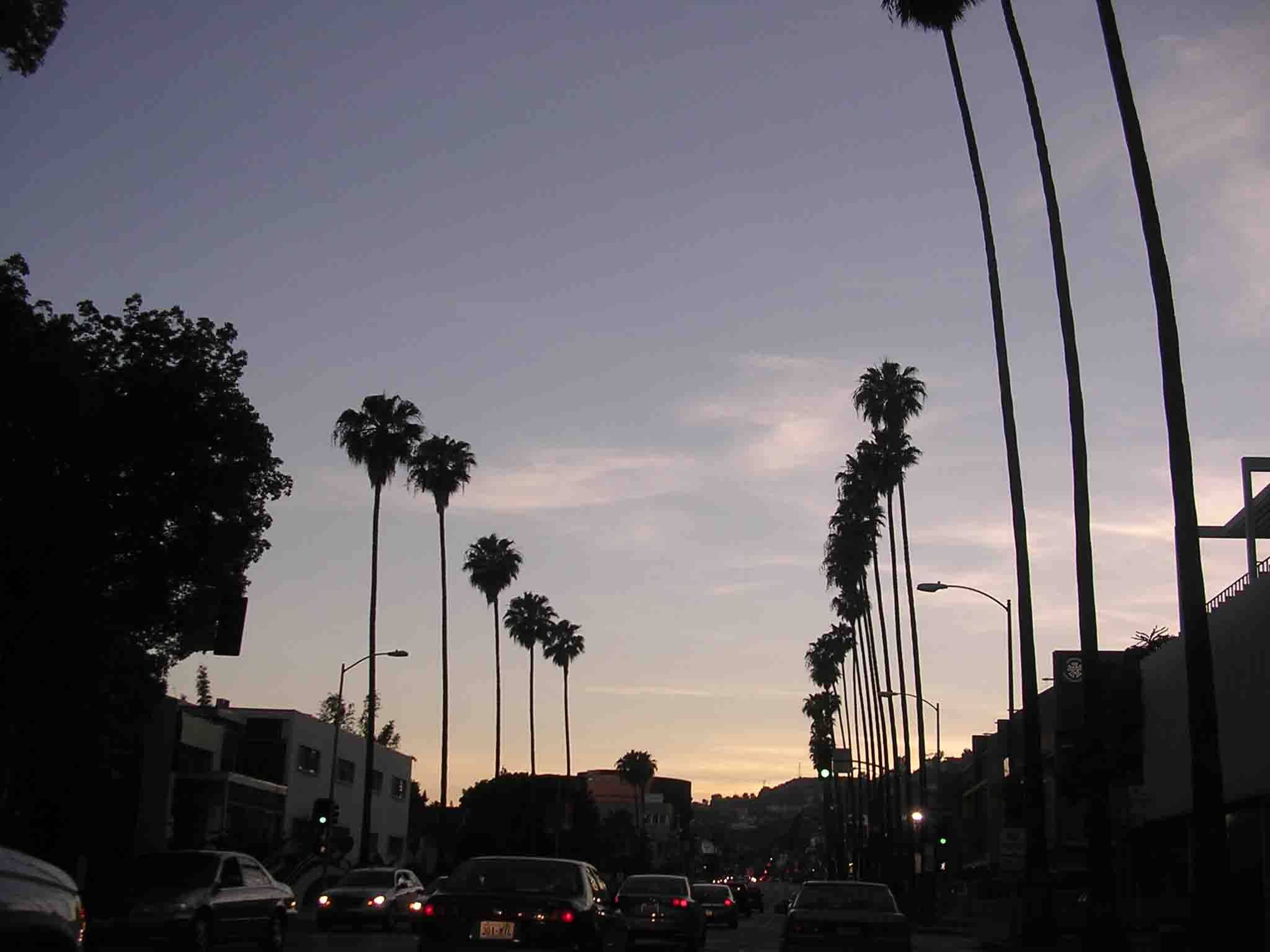 Sunset Boulevard, light purple sky, palm trees, Full HD Desktop Wallpaper