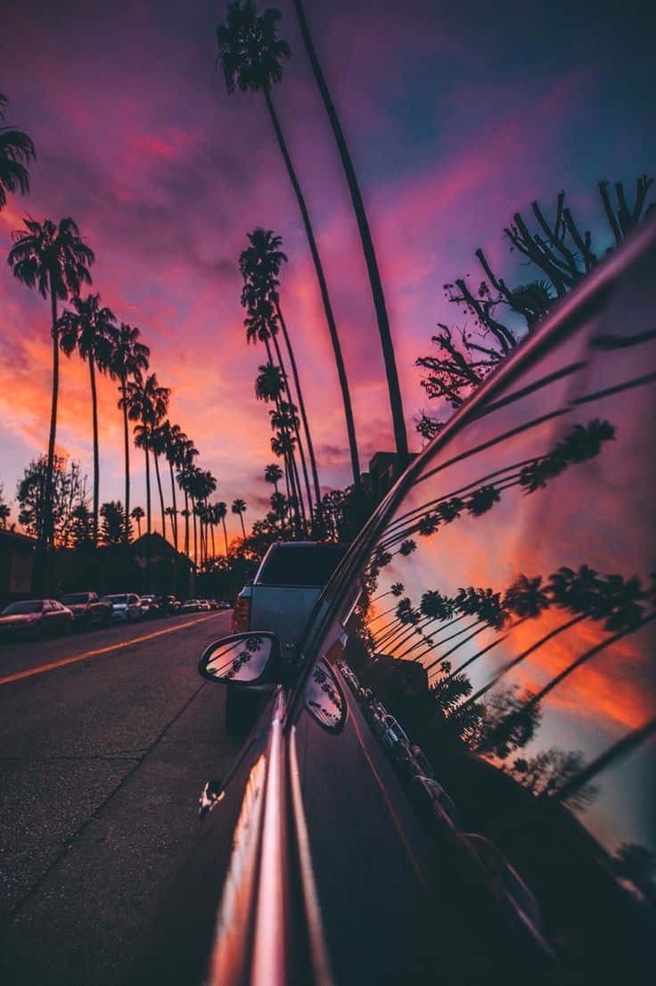 Sunset Boulevard, sunset sky, palm trees, SD Phone Wallpaper