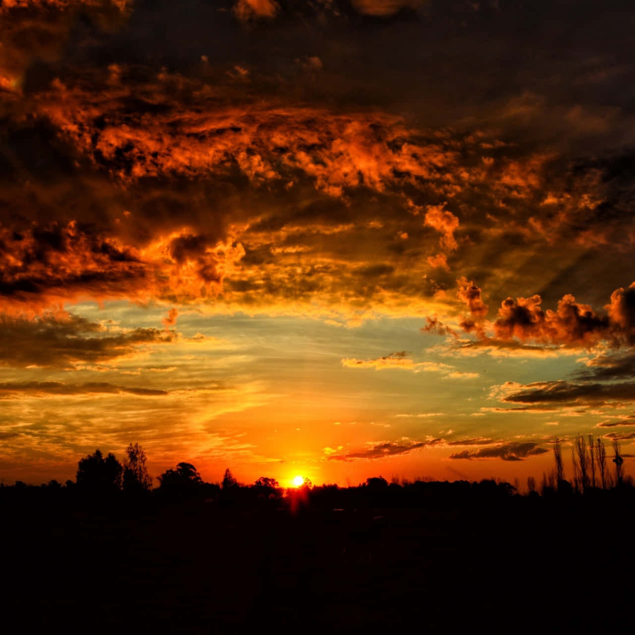 thick dark orange sunset cloud, fiery sunset, vivid orange and red, HD Desktop Wallpaper