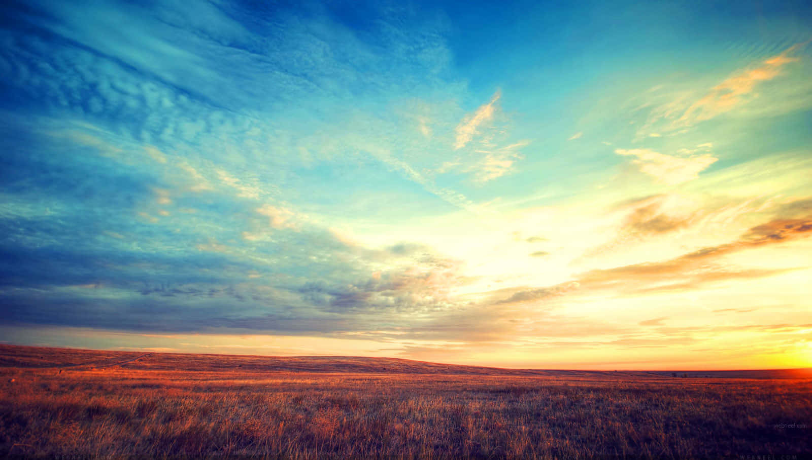 golden grassland, dramatic sky, fiery sunset hues, HD Desktop Wallpaper