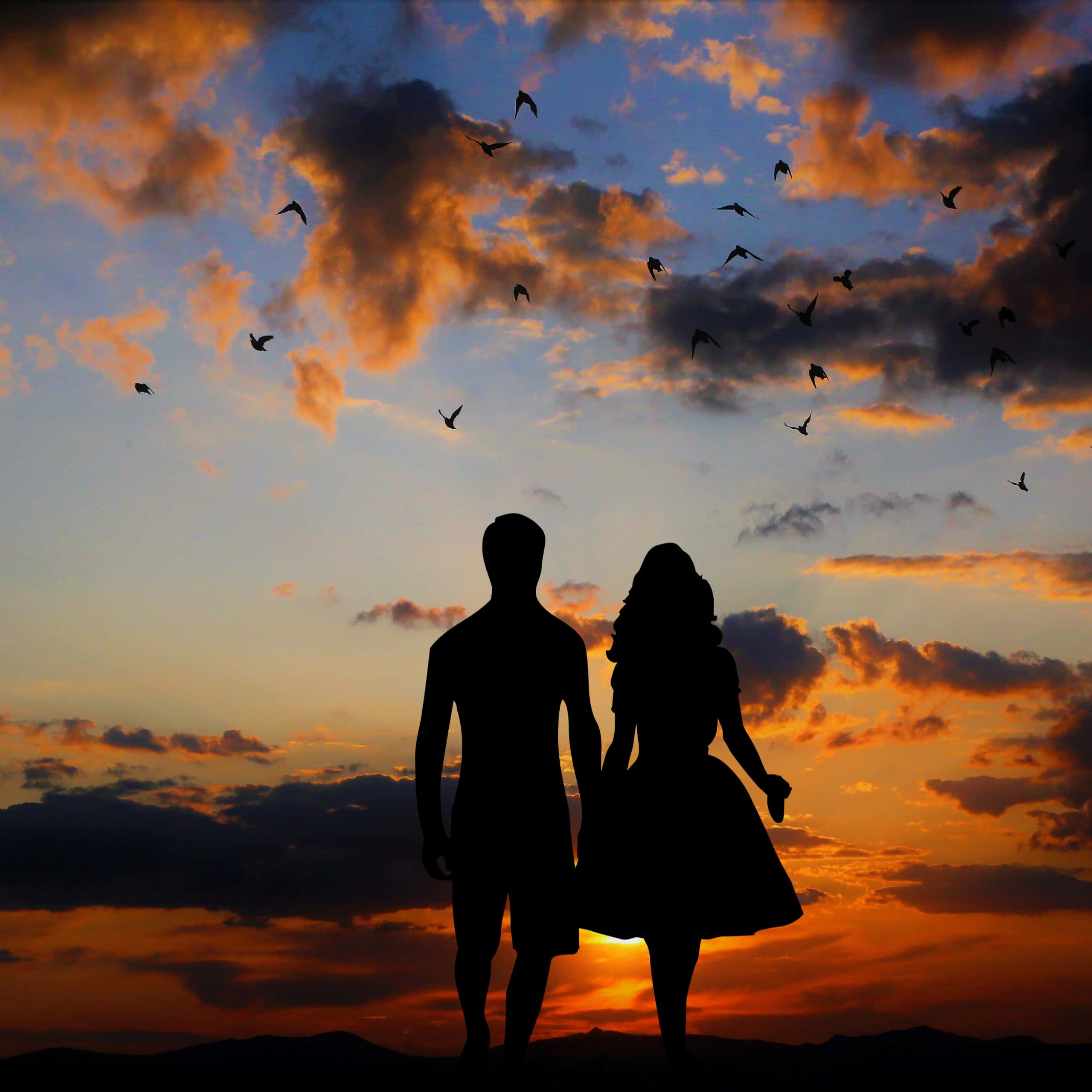 Sunset Couple, vibrant sunset sky, flying birds, 2K Desktop Wallpaper