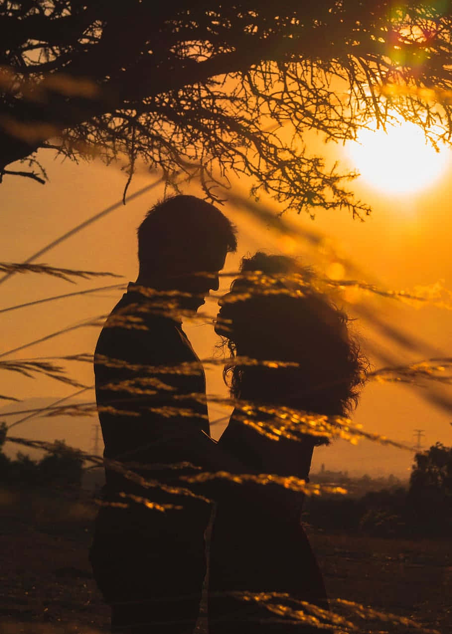 Tree Sunset Couple, golden sunset, silhouetted couple, SD Phone Wallpaper