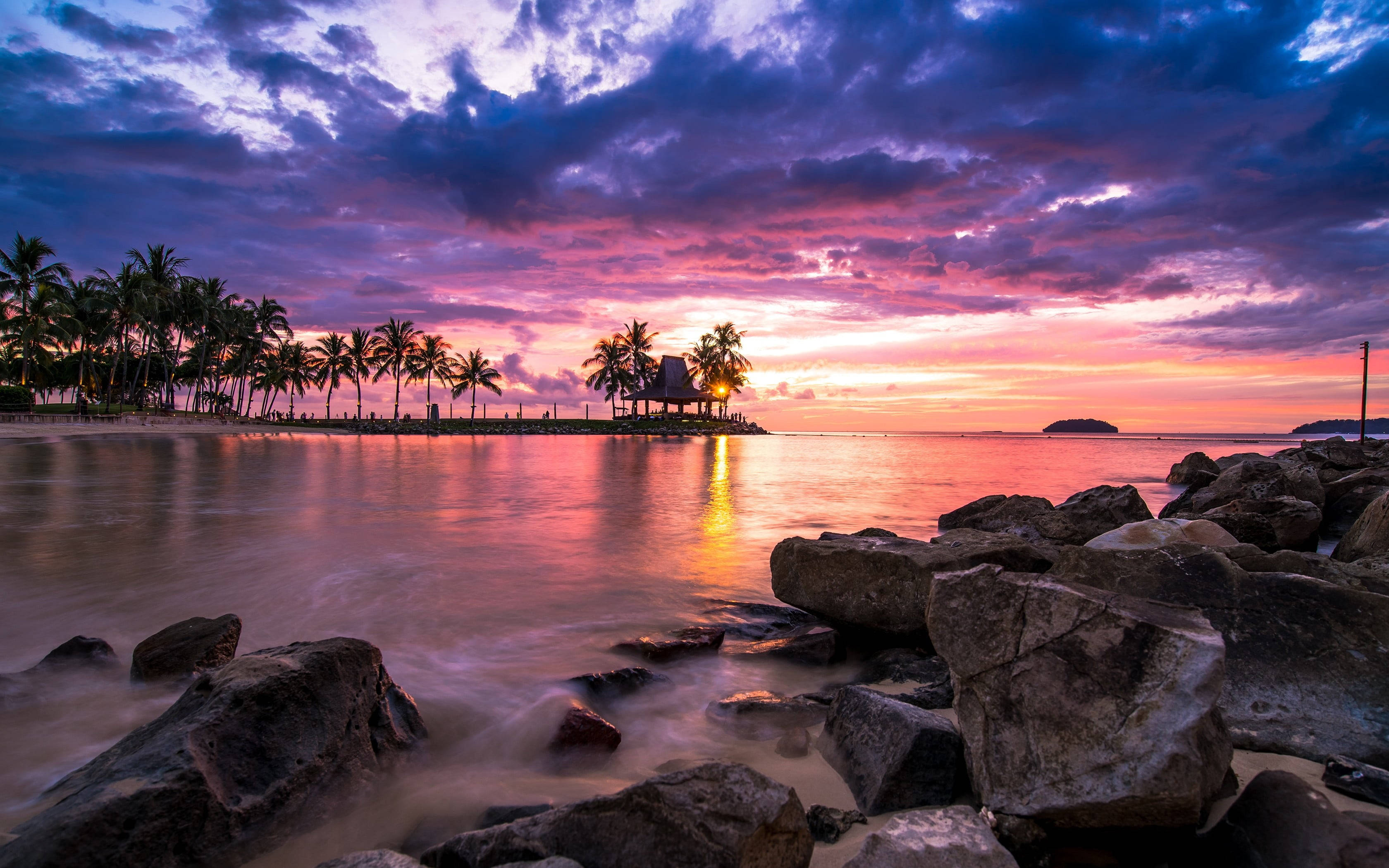 palm tree, sunset, beach, 2K Desktop Wallpaper