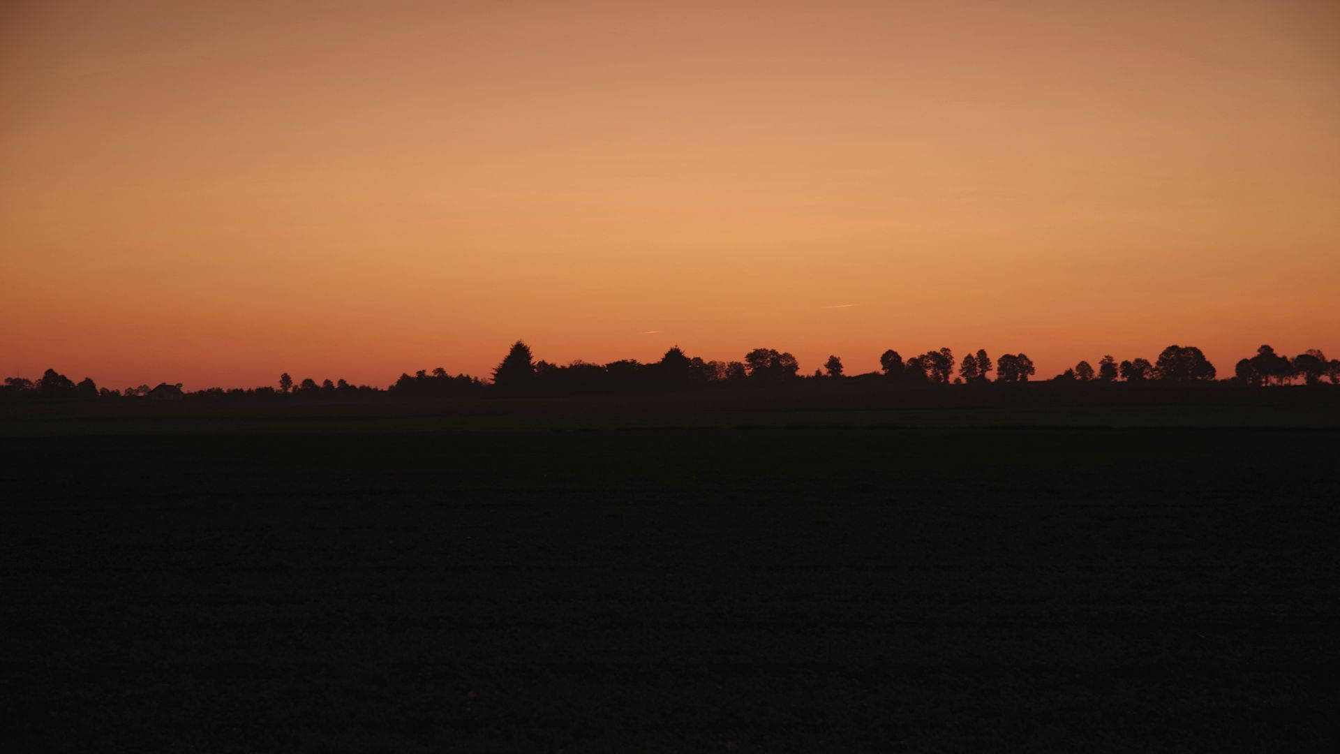 orange sunset, forest trees, horizon, Full HD Desktop Wallpaper