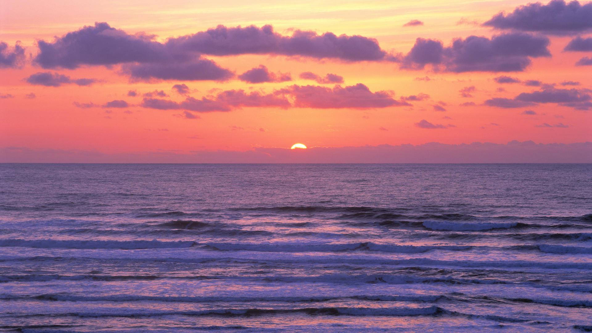 sunset, ocean, pink clouds, Full HD Desktop Wallpaper