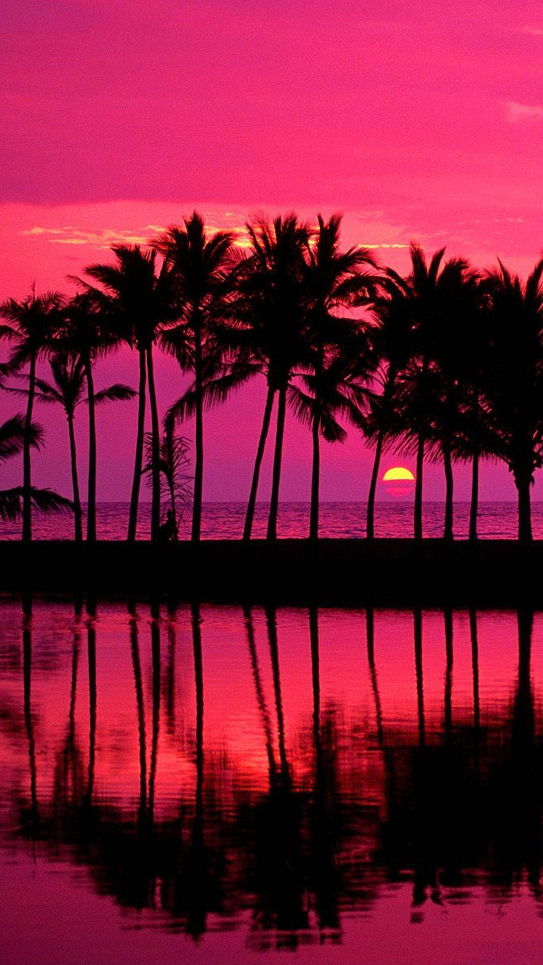 pink sunset, palm trees, calm water, Full HD Phone Wallpaper