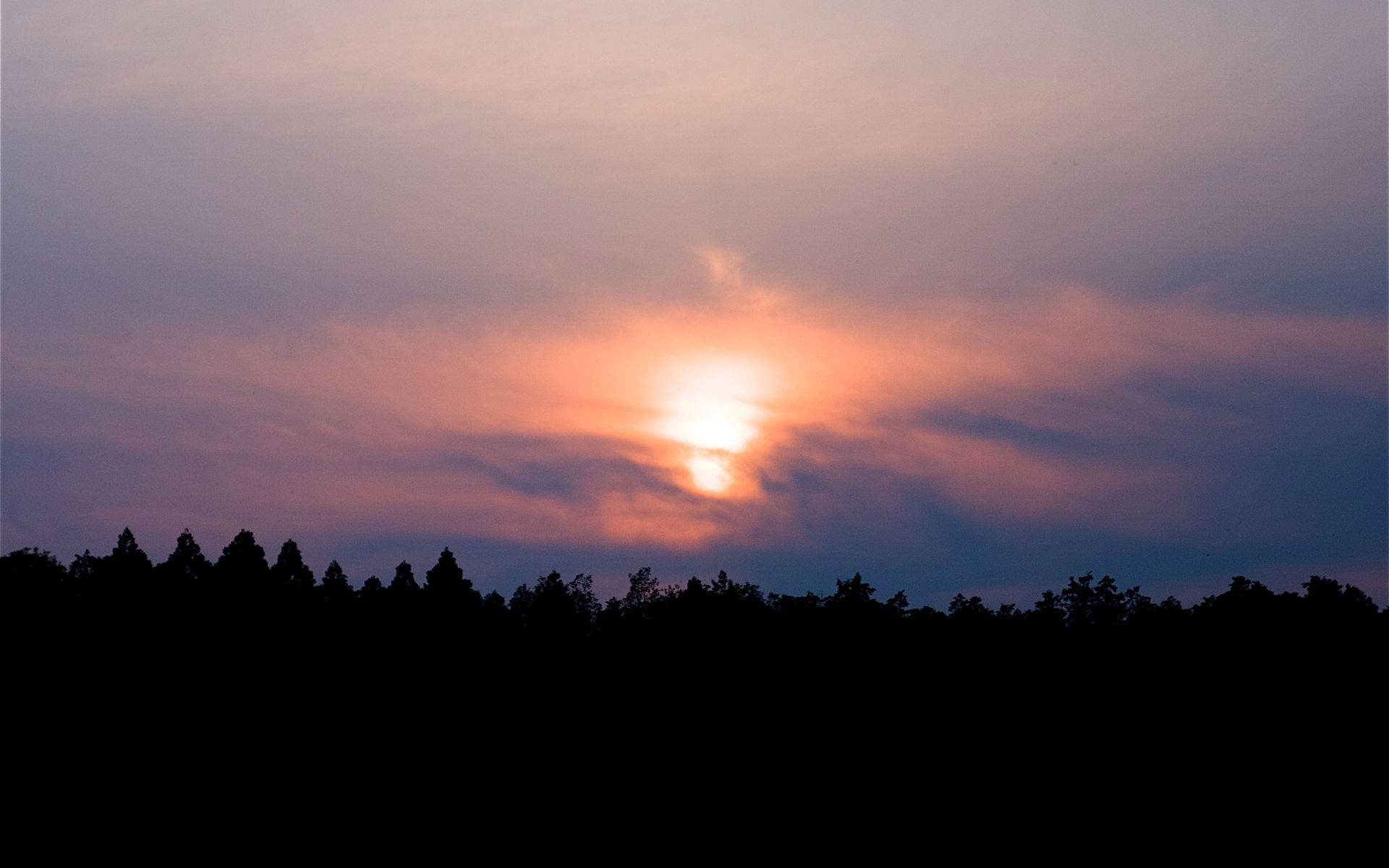 forest silhouette, sunset, purple and orange clouds, Full HD Desktop Wallpaper