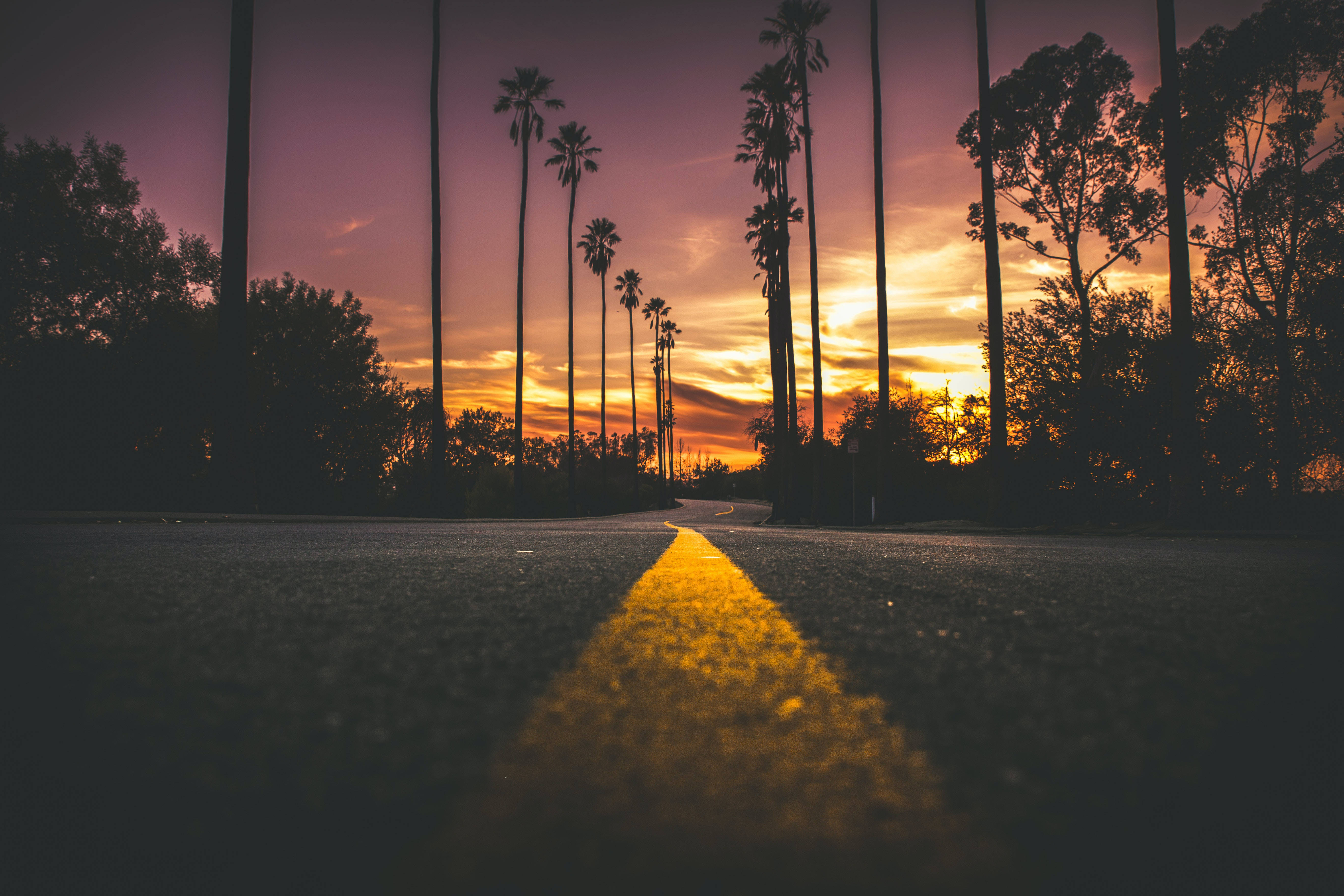 Empty Road Sunset Desktop, sunset, palm trees, 5K Desktop Wallpaper