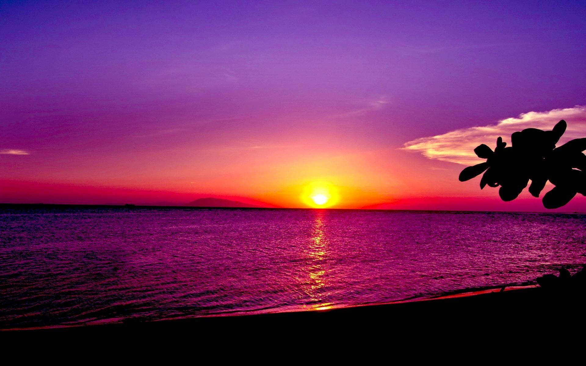 photographic beach sunset desktop, vibrant sunset, purple and orange sky, Full HD Desktop Wallpaper