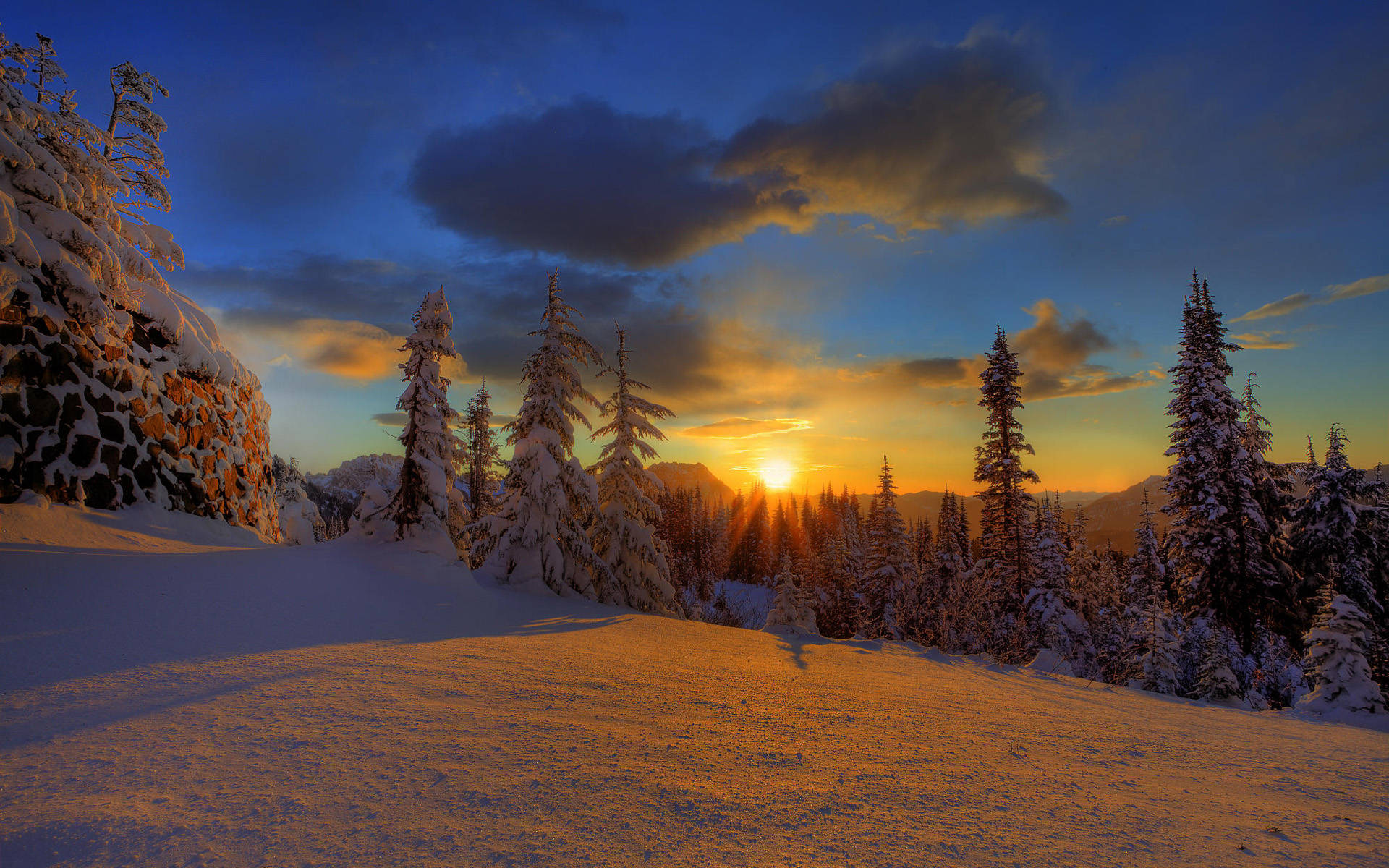Snowy Forest, Sunset, snowy pine trees, Full HD Desktop Wallpaper