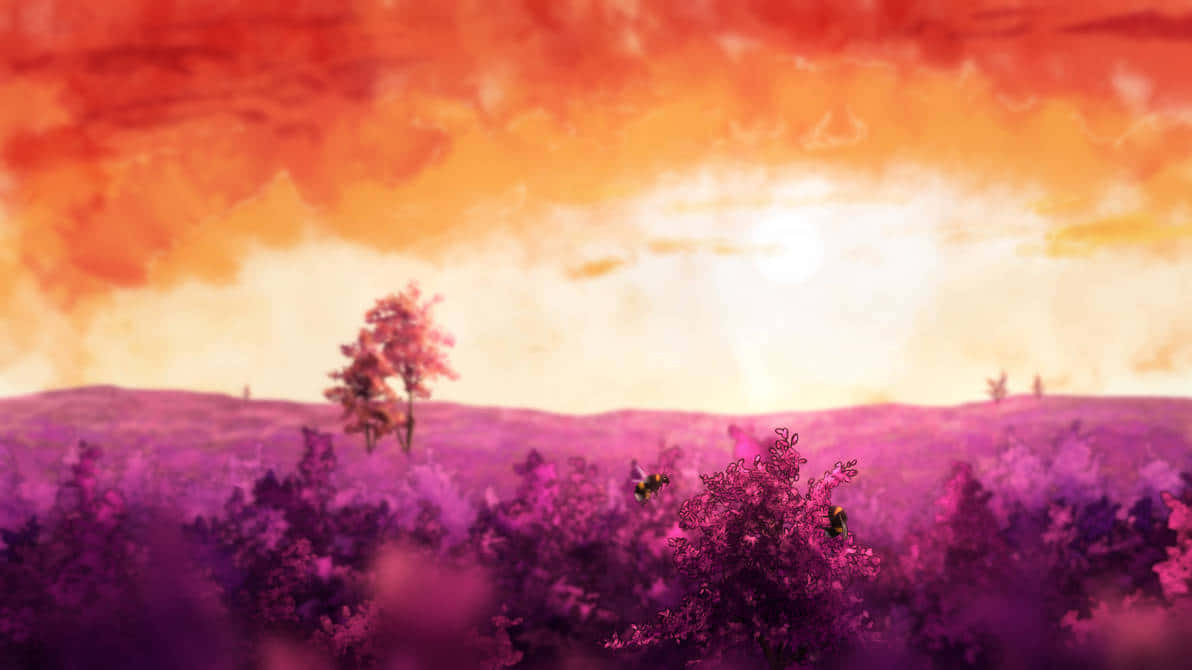 vibrant sunset, lavender field, fiery orange sunset sky, SD Desktop Wallpaper