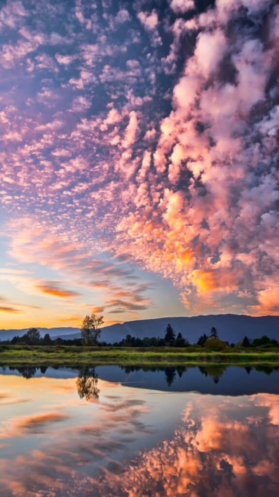 summer sunset reflections, vibrant sunset sky, pink orange and purple clouds, SD Phone Wallpaper