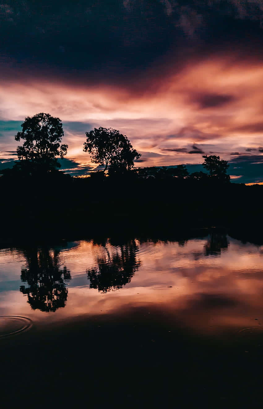 dark moody sunset reflection, calm water, dramatic sunset sky, HD Phone Wallpaper