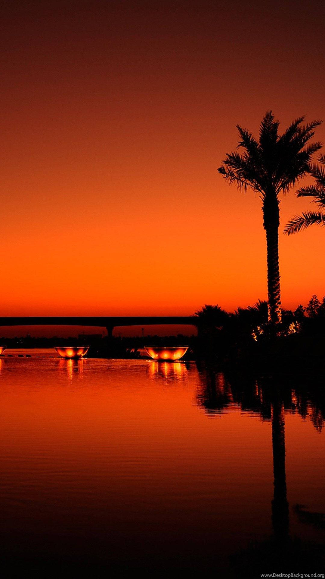 fiery orange sunset, palm tree silhouette, calm water, Full HD Phone Wallpaper