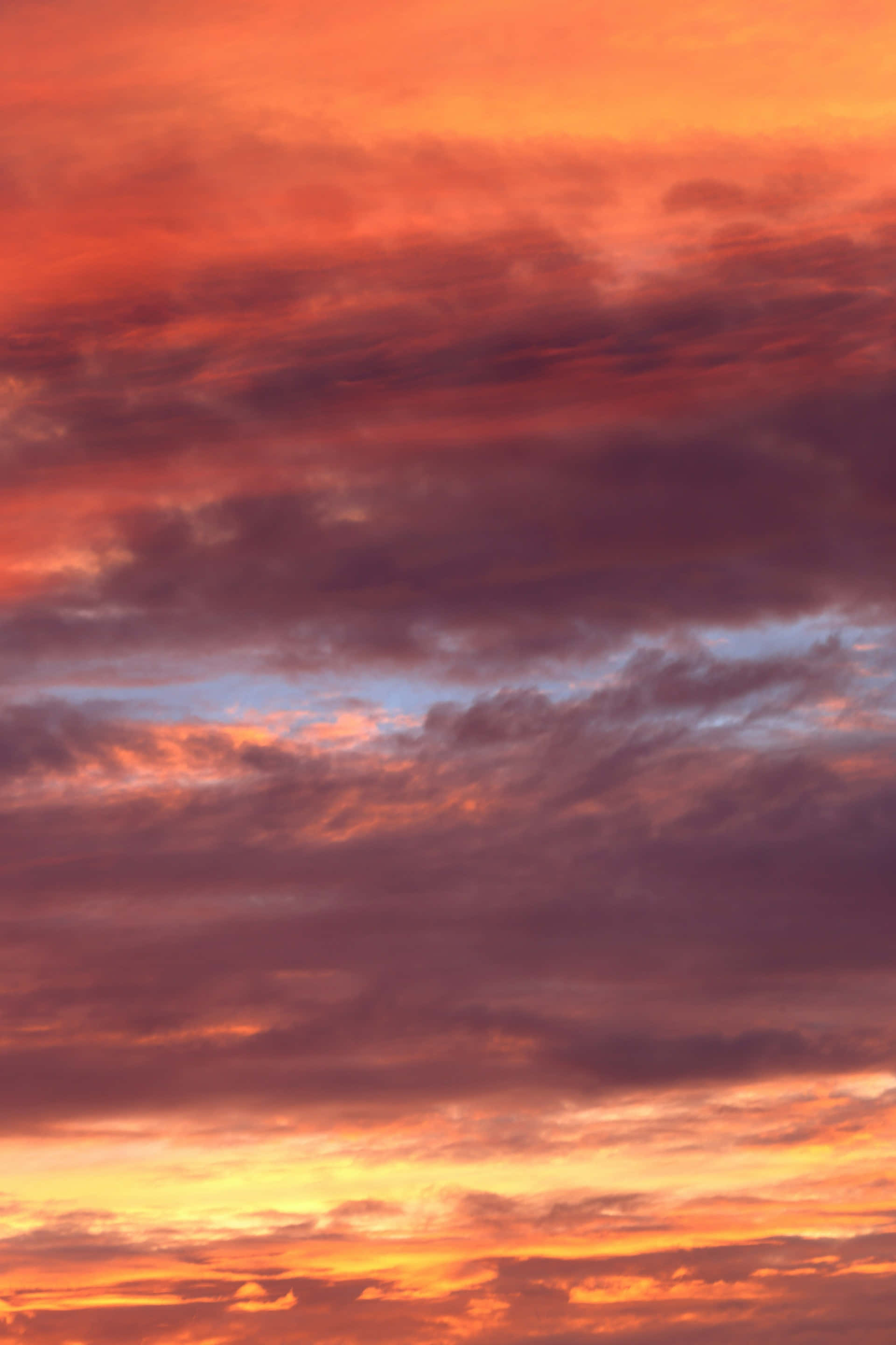 Sunset Hues, twilight sky, vibrant orange, 2K Phone Wallpaper