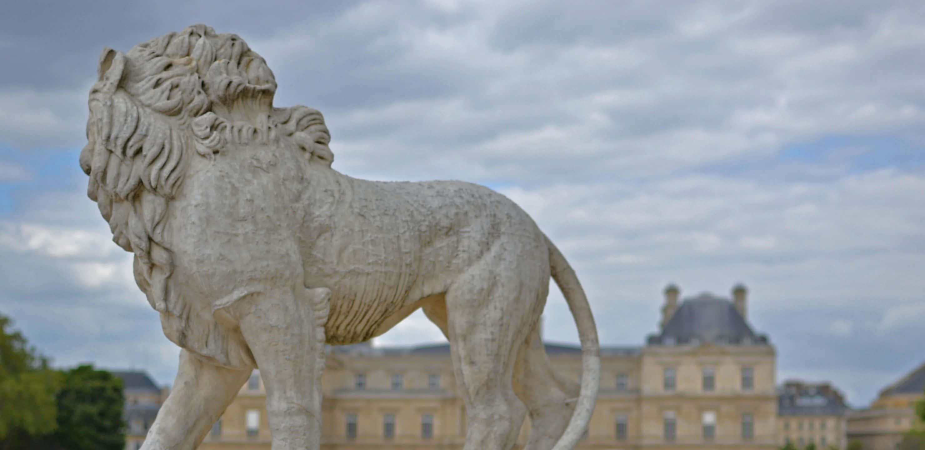 Sunset Hues, stone lion statue, European palace, 2K Desktop Wallpaper